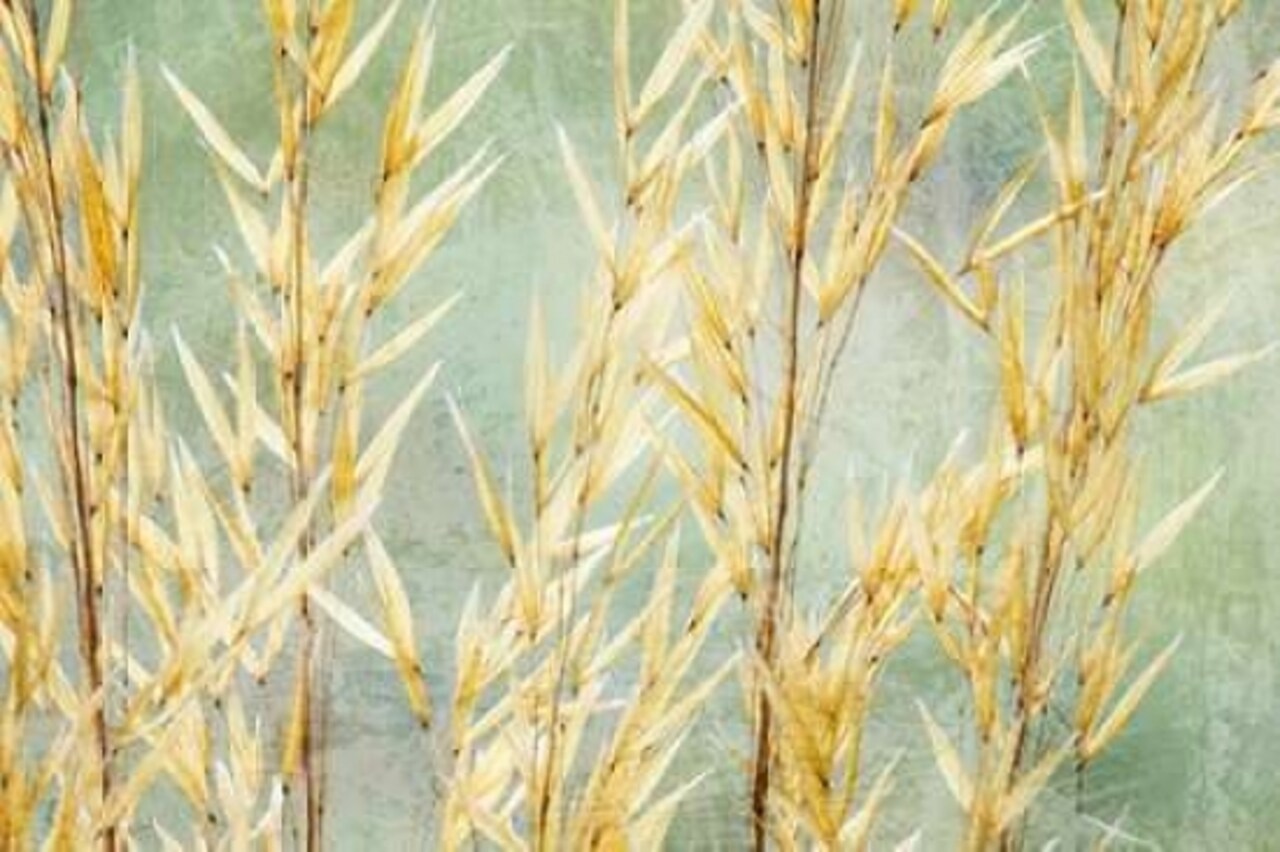 Golden Grasses Poster Print by Kathy Mahan - Item # VARPDXPSMHN630